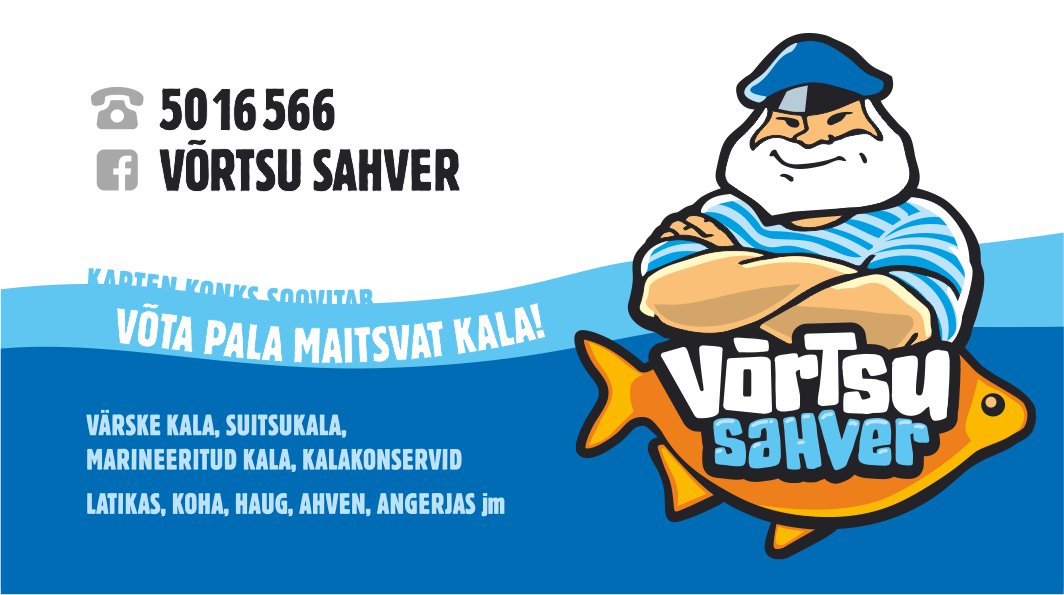 Näidis visiitkaart 3 – Primastella trükikoda